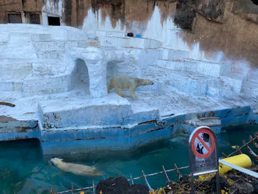 天王寺動物園に投稿された画像（2021/12/11）