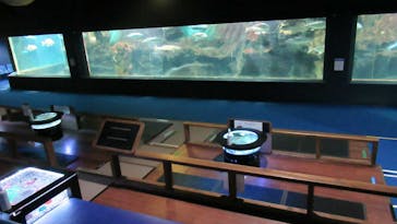 ゼロ距離水族館 伊勢シーパラダイスに投稿された画像（2021/12/11）