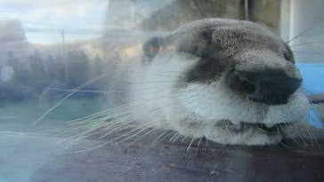 ゼロ距離水族館 伊勢シーパラダイスに投稿された画像（2021/12/11）