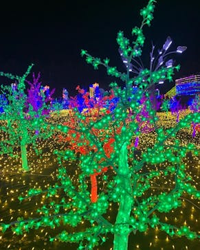 伊豆ぐらんぱる公園に投稿された画像（2021/12/11）