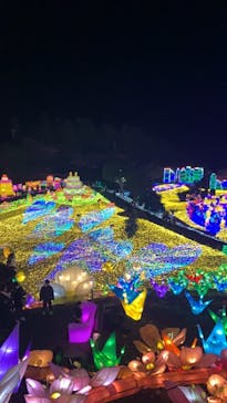 伊豆ぐらんぱる公園に投稿された画像（2021/12/11）