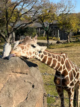 天王寺動物園に投稿された画像（2021/12/11）