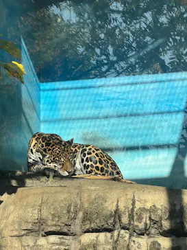 天王寺動物園に投稿された画像（2021/12/11）