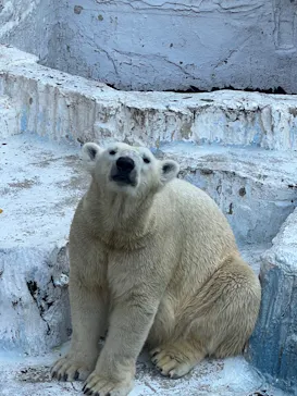 天王寺動物園に投稿された画像（2021/12/11）