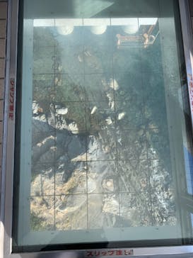 徳島県立 渦の道に投稿された画像（2021/12/11）