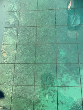 徳島県立 渦の道に投稿された画像（2021/12/11）