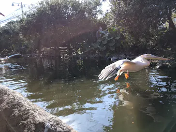 神戸どうぶつ王国に投稿された画像（2021/12/11）