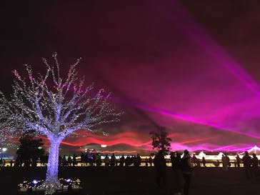 東京メガイルミに投稿された画像（2021/12/11）