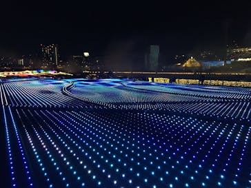 東京メガイルミに投稿された画像（2021/12/11）