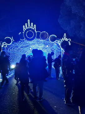 ひらかたパークに投稿された画像（2021/12/11）