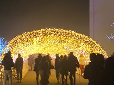 東京メガイルミに投稿された画像（2021/12/11）