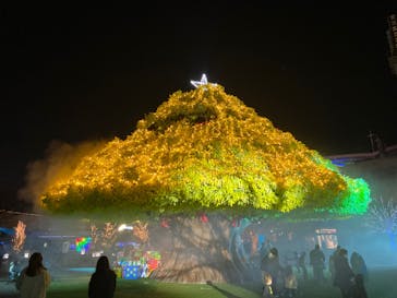 東京メガイルミに投稿された画像（2021/12/11）