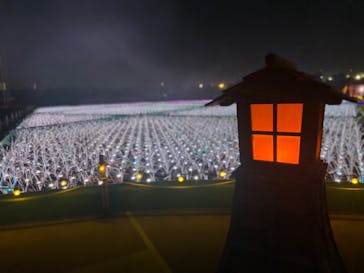 東京メガイルミに投稿された画像（2021/12/11）