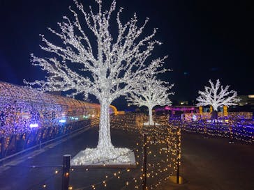 東京メガイルミに投稿された画像（2021/12/11）
