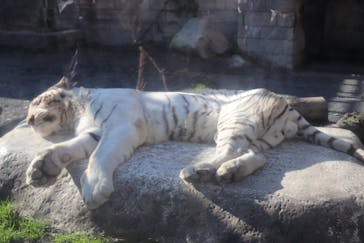 東武動物公園に投稿された画像（2021/12/12）