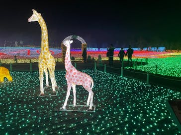 東武動物公園に投稿された画像（2021/12/12）