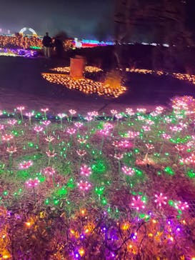 東武動物公園に投稿された画像（2021/12/12）