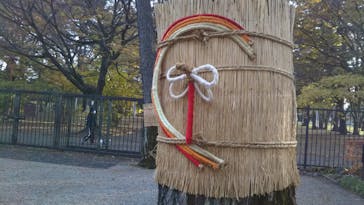 江戸東京たてもの園に投稿された画像（2021/12/12）