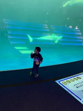 島根県立 しまね海洋館に投稿された画像（2021/12/12）