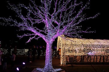 東京メガイルミに投稿された画像（2021/12/12）