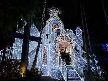 美らヤシパークオキナワ・東南植物楽園に投稿された画像（2021/12/12）