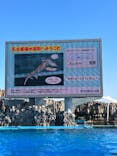 名古屋港水族館に投稿された画像（2021/12/12）