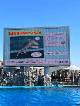 名古屋港水族館に投稿された画像（2021/12/12）