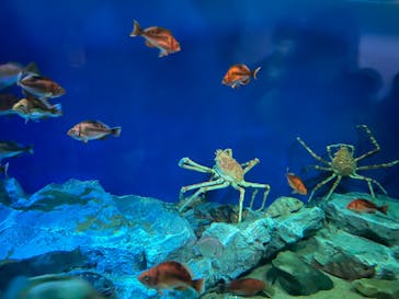 名古屋港水族館に投稿された画像（2021/12/12）