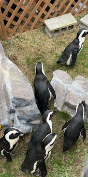 名古屋港水族館に投稿された画像（2021/12/12）