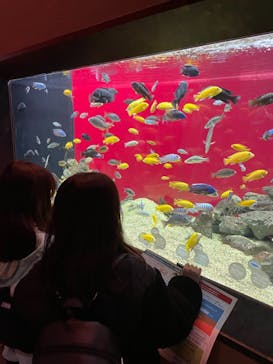 カワスイ 川崎⽔族館に投稿された画像（2021/12/12）