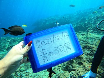 武藤潜水に投稿された画像（2021/12/12）