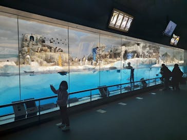 名古屋港水族館に投稿された画像（2021/12/12）