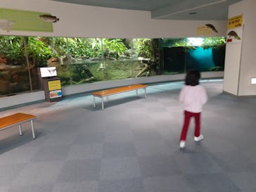 名古屋港水族館に投稿された画像（2021/12/12）