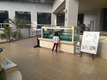 名古屋港水族館に投稿された画像（2021/12/12）