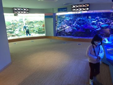 名古屋港水族館に投稿された画像（2021/12/12）
