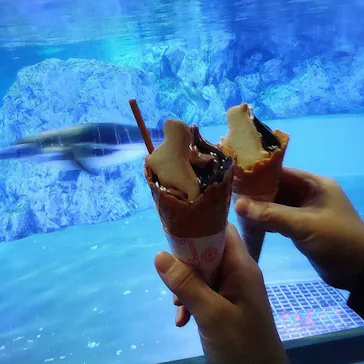 すみだ水族館に投稿された画像（2021/12/12）