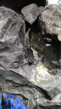 すみだ水族館に投稿された画像（2021/12/12）