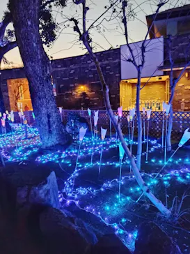 ひらかたパークに投稿された画像（2021/12/12）