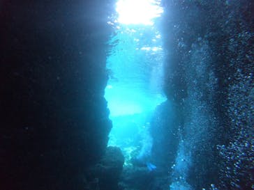 武藤潜水に投稿された画像（2021/12/12）