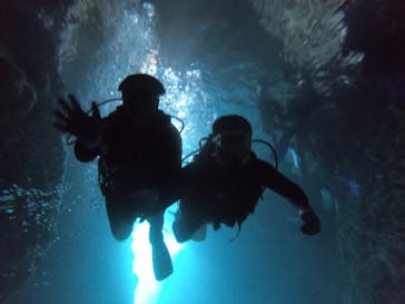 武藤潜水に投稿された画像（2021/12/12）