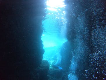 武藤潜水に投稿された画像（2021/12/12）