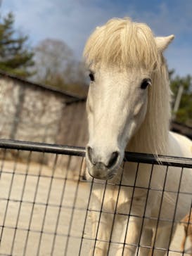 秋吉台自然動物公園 サファリランドに投稿された画像（2021/12/12）