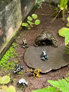 サンシャイン水族館に投稿された画像（2021/12/12）