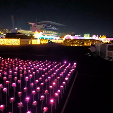 東京メガイルミに投稿された画像（2021/12/12）