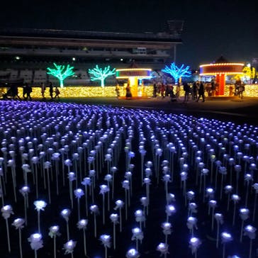 東京メガイルミに投稿された画像（2021/12/12）