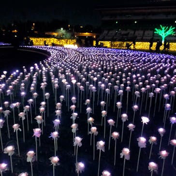 東京メガイルミに投稿された画像（2021/12/12）