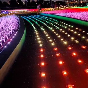 東京メガイルミに投稿された画像（2021/12/12）