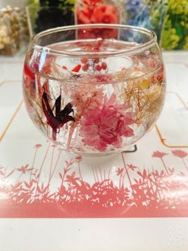 ずこうしつ〜sugamo〜に投稿された画像（2021/12/12）