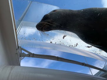 サンシャイン水族館に投稿された画像（2021/12/12）