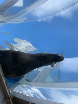 サンシャイン水族館に投稿された画像（2021/12/12）